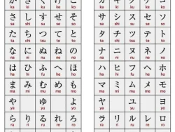 WhatsApp Image 2024-09-07 at 13.40.46_056c6696