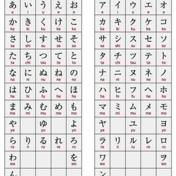 WhatsApp Image 2024-09-07 at 13.40.46_056c6696