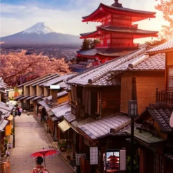 WhatsApp Image 2024-09-10 at 21.40.16_5a7addb8