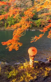 red-maple-leaves-or-fall-foliage-in-colorful-autum-2023-11-27-04-53-01-utc