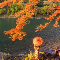 red-maple-leaves-or-fall-foliage-in-colorful-autum-2023-11-27-04-53-01-utc